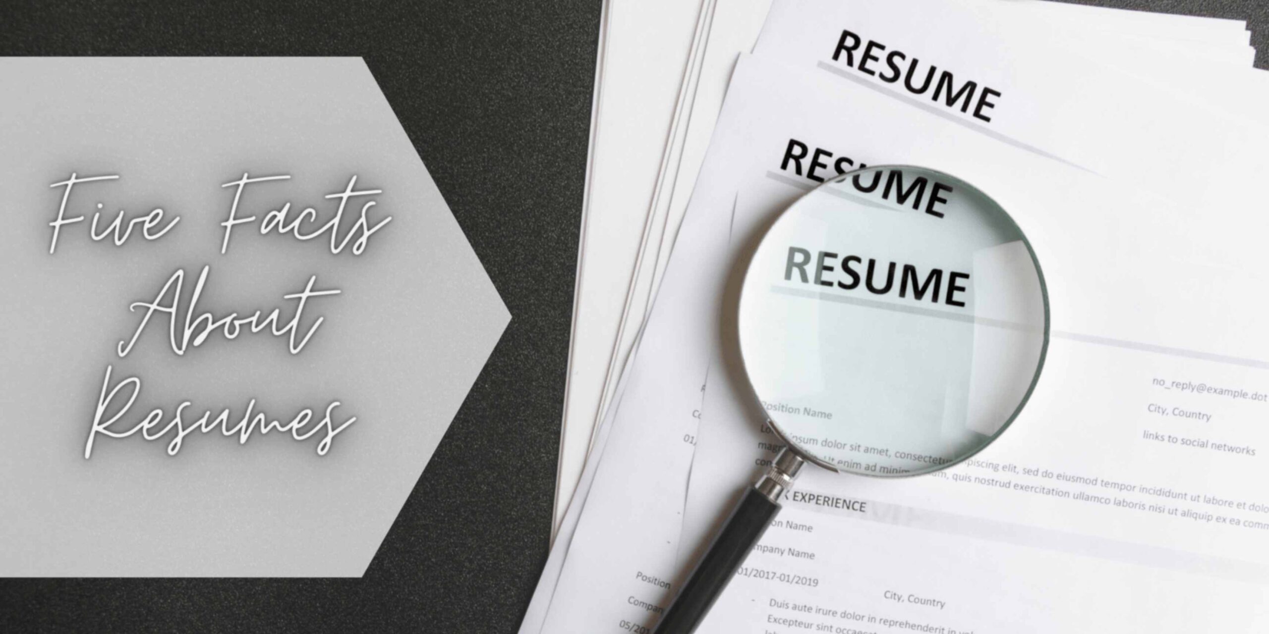 You are currently viewing Facts About Resumes